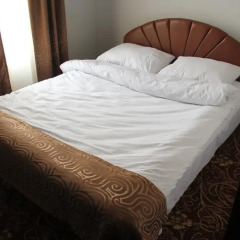 Georgia Hotel комната для гостей фото 3