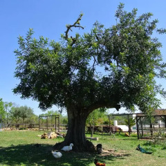Отель Centre Algarve детские мероприятия