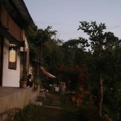 Отель Peace Guest House Pokhara Непал, Покхара - отзывы, цены и фото номеров - забронировать отель Peace Guest House Pokhara онлайн фото 5