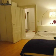 Апартаменты Apartment Canisius Вена комната для гостей фото 3