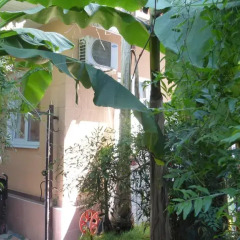 Апартаменты Apartments Gorkogo 21 Сочи фото 6