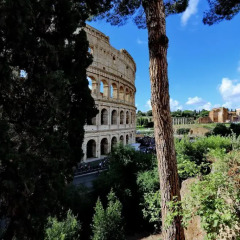 Отель Top Floor Colosseo Номер категории Эконом фото 22