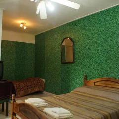 Pindo Guazu Hostel Тигре комната для гостей фото 2