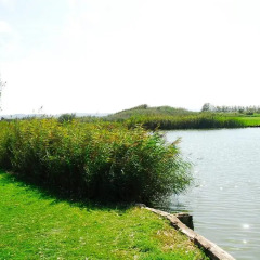 Отель Emporada Golf Estudi