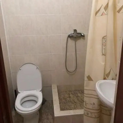 Гостиница Elladen Guest House в Ольгинке отзывы, цены и фото номеров - забронировать гостиницу Elladen Guest House онлайн Ольгинка ванная