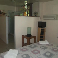 Отель Pension Armelle Bed & Breakfast Tahiti Французская Полинезия, Пунаауиа - отзывы, цены и фото номеров - забронировать отель Pension Armelle Bed & Breakfast Tahiti онлайн интерьер отеля фото 2