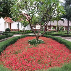 Отель HaiDuong Intourco Resort 3* Стандартный номер с различными типами кроватей фото 14