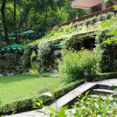 Отель Restaurant Dreri Албания, Тирана - отзывы, цены и фото номеров - забронировать отель Restaurant Dreri онлайн фото 24