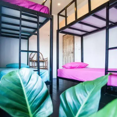 Отель Sweet Life Community Guesthouse Кровать в общем номере фото 6