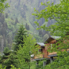 Отель Kardelen Bungalov Evleri̇ фото 2