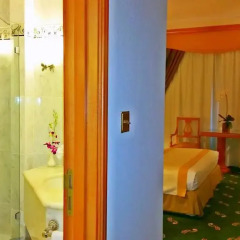 Carlton Palace Hotel 5* Номер Делюкс с различными типами кроватей фото 5