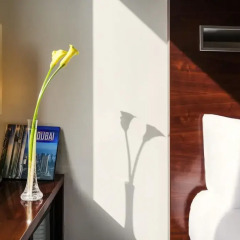 Отель ibis World Trade Centre Dubai 2* Стандартный номер с различными типами кроватей фото 4