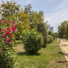 Отель Habitat Apartments Carders Испания, Барселона - отзывы, цены и фото номеров - забронировать отель Habitat Apartments Carders онлайн