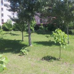 Апартаменты VIP Zone Apartments