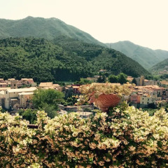 Отель Il Giardino Degli Ulivi Боргомаро фото 2