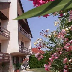 Отель Hevizquelle 1 Apartmenthaus Хевиз фото 2