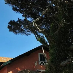 Отель Shepinetree Pinheira House