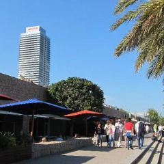 Отель Barceloneta Studios Барселона гостиничный бар