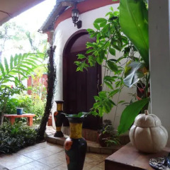 Отель Boutique Posada Las Iguanas Гондурас, Тела - отзывы, цены и фото номеров - забронировать отель Boutique Posada Las Iguanas онлайн интерьер отеля фото 3