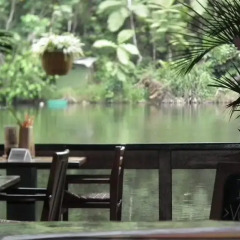 Отель Colo-I-Suva Rainforest Eco Resort Вити-Леву фото 9