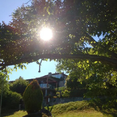 Отель Casa Dos Muros