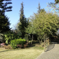 Отель Villa Garden Braga
