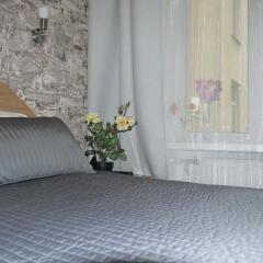 Гостиница Central Inn - Атмосфера в Санкт-Петербурге - забронировать гостиницу Central Inn - Атмосфера, цены и фото номеров Санкт-Петербург удобства в номере