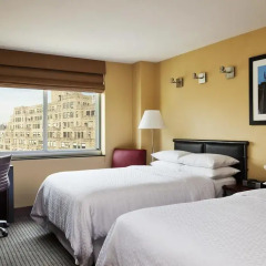 Отель Four Points by Sheraton Manhattan SoHo Village США, Нью-Йорк - отзывы, цены и фото номеров - забронировать отель Four Points by Sheraton Manhattan SoHo Village онлайн комната для гостей фото 3