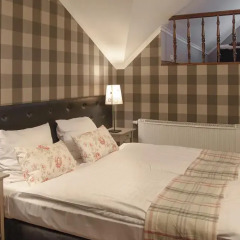 Отель Pałac Piorunów & Spa 3* Стандартный номер с различными типами кроватей фото 4