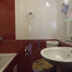 Отель Mitiova Guest House ванная