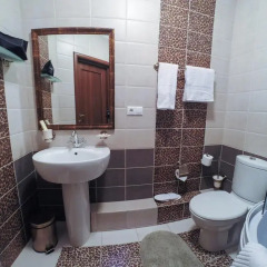 Hotel Baryshnya 4* Стандартный номер с различными типами кроватей фото 3