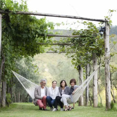 Отель Allegro Agriturismo Argiano Ареццо приотельная территория