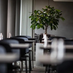 First Hotel Atlantic гостиничный бар