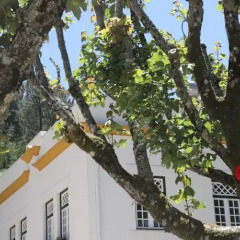 Отель Camping Lamego Португалия, Ламего - отзывы, цены и фото номеров - забронировать отель Camping Lamego онлайн пляж