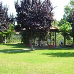 Отель Evangelia's Family House Греция, Ситония - отзывы, цены и фото номеров - забронировать отель Evangelia's Family House онлайн фото 2