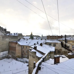 Гостиница Kniazia Romana 4