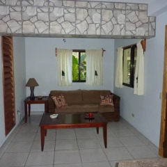 Отель Villas Pico Bonito 3* Вилла с различными типами кроватей фото 16