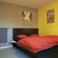 Budget Hostel Zurich Стандартный номер с различными типами кроватей фото 4
