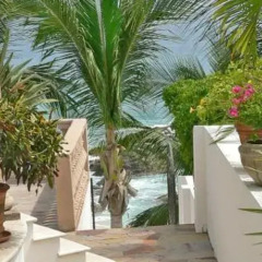 Отель Villa Paraiso Мексика, Сан-Хосе-дель-Кабо - отзывы, цены и фото номеров - забронировать отель Villa Paraiso онлайн фото 4
