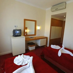Forest Park Hotel 3* Стандартный номер с разными типами кроватей фото 7