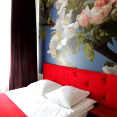 Hotel Zvezdnyi 3* Стандартный номер с двуспальной кроватью фото 3
