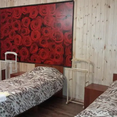 Гостиница Adel Hotel в Домбае отзывы, цены и фото номеров - забронировать гостиницу Adel Hotel онлайн Домбай детские мероприятия