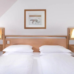 Hotel Agneshof Nürnberg 3* Номер Комфорт разные типы кроватей фото 3