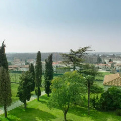 Отель Villa Dragoni Буттрио балкон