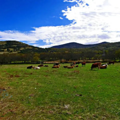 Отель El Capricho de los Montes фото 4