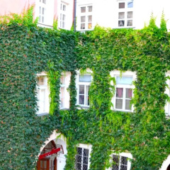 Отель Residence Giovanni Прага балкон