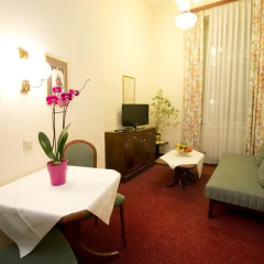 Отель Theaterhotel Wien 4* Полулюкс с различными типами кроватей фото 7
