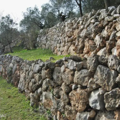 Отель L'Oliveto Сан-Никола-ла-Страда приотельная территория