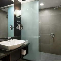 Radisson Blu Hotel, Riyadh 5* Стандартный номер с различными типами кроватей фото 5
