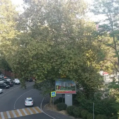 Гостиница Guest House Four Rooms